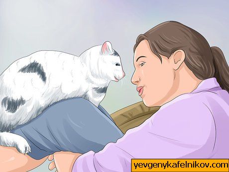 Како спречити да вас мачка пробуди